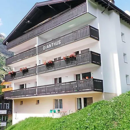 Dianthus 1 Otel